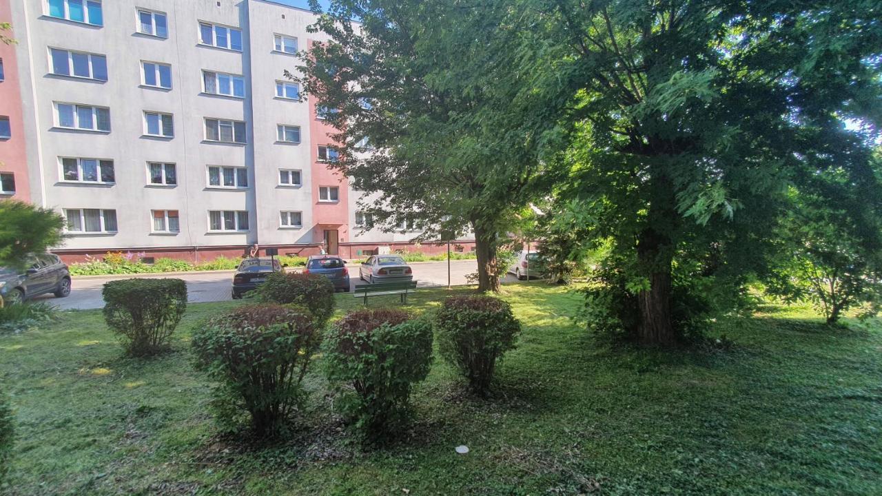 Apartament Park Saski Sandomierz Exterior foto